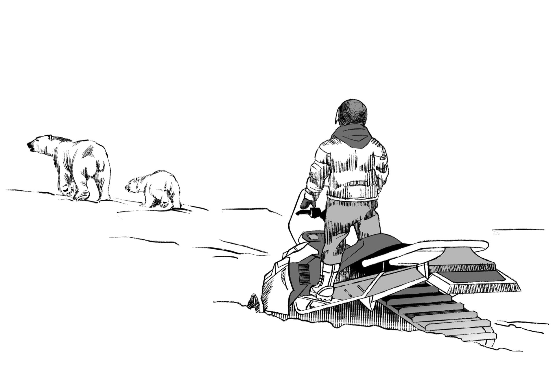 Expeditions